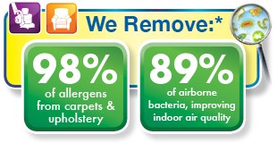 carpet cleaning by Chem-Dry removes 98% of allergens and 89% of airborne bacteria