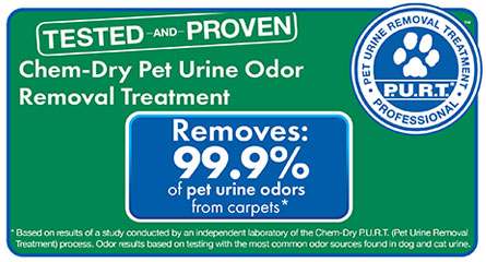 Peninsula Chem-Dry Pet Urine Removal Treatment in San Mateo, CA